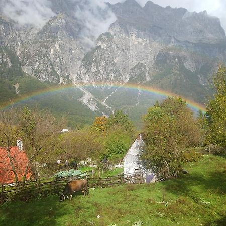 ShkodërBujtina Milani住宿加早餐旅馆 外观 照片