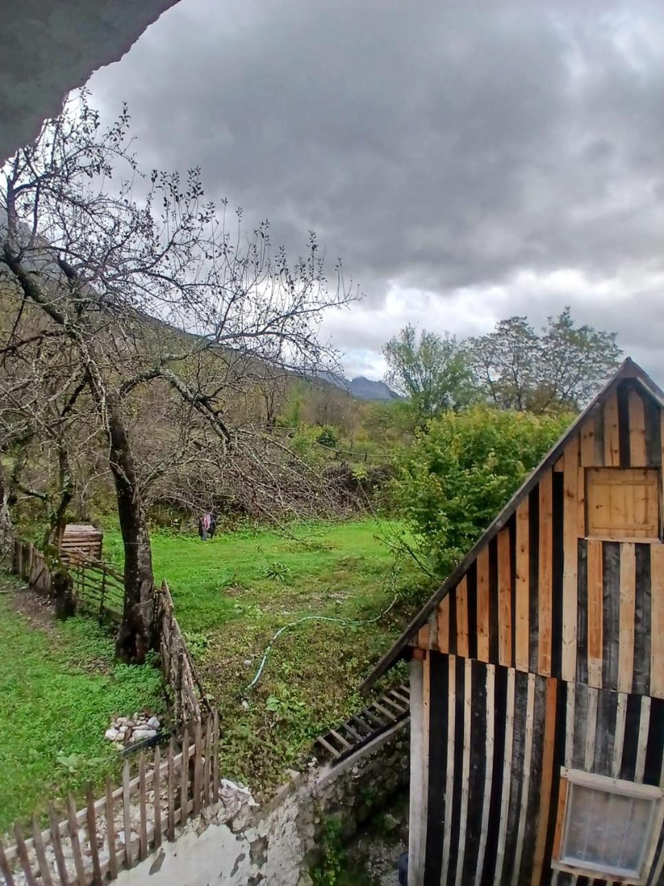 ShkodërBujtina Milani住宿加早餐旅馆 外观 照片