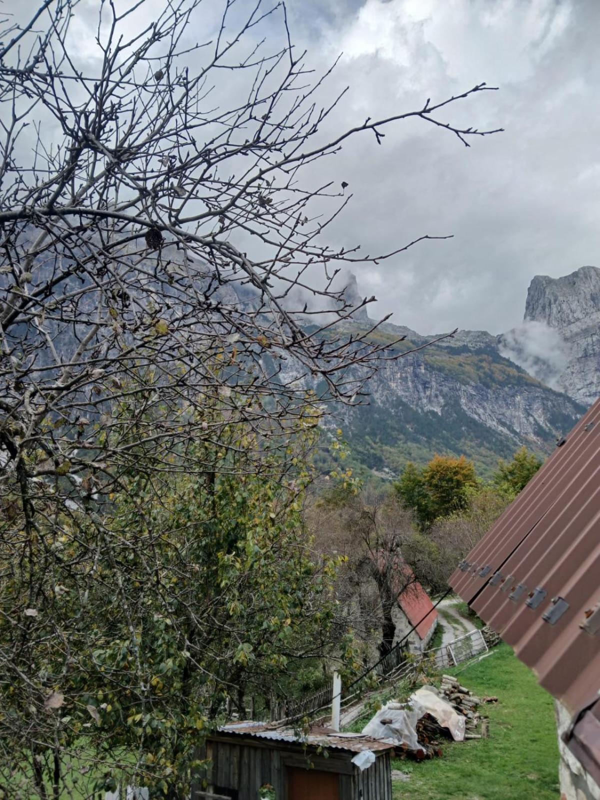 泰斯Bujtina Milani住宿加早餐旅馆 外观 照片